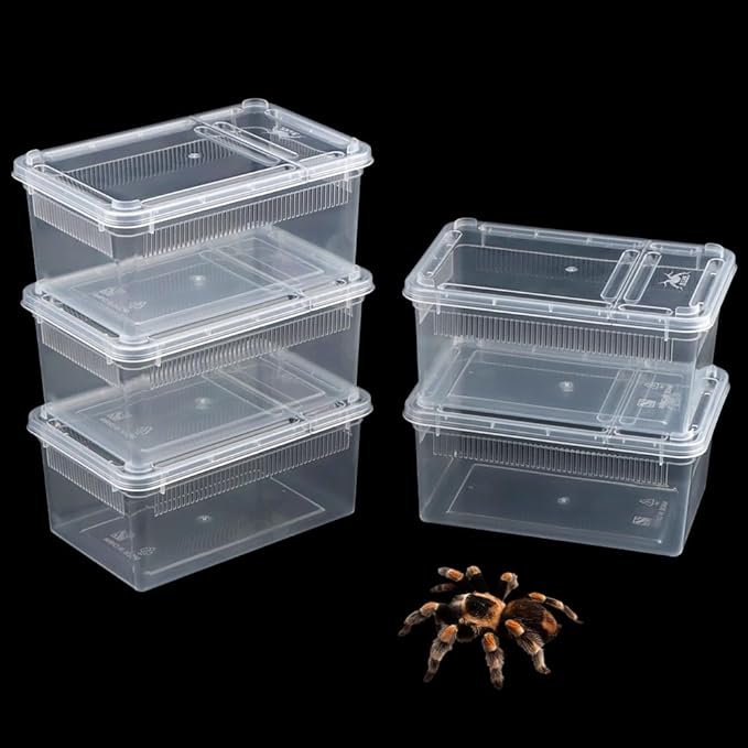 5 Pack Small Reptile Terrarium Breeding Box Transparent Hatching Container Plastic Feeding Box for Gecko Frog Spider Scorpion Centipede Insect