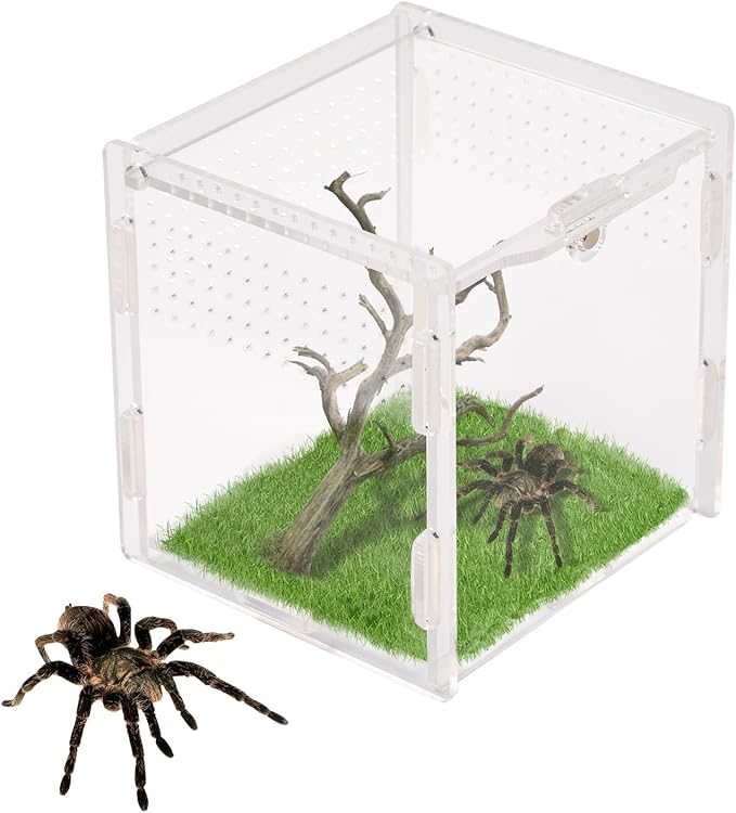 Rislobx Jumping Spider Enclosure, Acrylic Reptile Terrarium Enclosure Micro Habitat Tank Breeding Box for Tarantula Insect Small Reptiles (3.7" x 3.5" x 3.5")