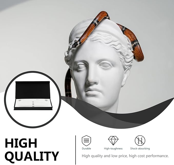 Homoyoyo 1set Snake Gender Detector Probe Professional Stainless Steel Reptiles Sexing Kit Lightweight and Portable with Smooth Head Design for Easy Operation