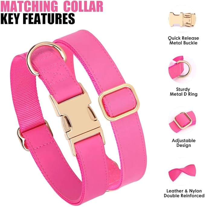 PET ARTIST Soft PU Leather Dog Collar and Leash Set, Bright & Stylish 5FT PU Leather Leash and Collar Set, Durable Pet Collars with Quick Release Metal Buckle for Small Dogs,Hot Pink,S(9"-14")