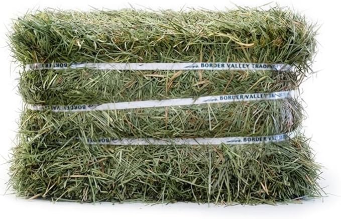 Border Valley Orchard Grass Hay Bale in Bag, 50 lb - Soft High Fiber Hay for Rabbits, Guinea Pigs, Chinchillas, Tortoises, Horses and Livestock - Leafy Grass Hay, Farm-to-Home Freshness
