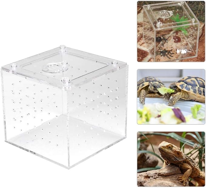 Reptile Breeding Tools, Reptile Hatching Supplies, Lizard Breeding Acrylic Box Case Insects House 1Pc Reptile Terrarium Feeder Snakes Spider