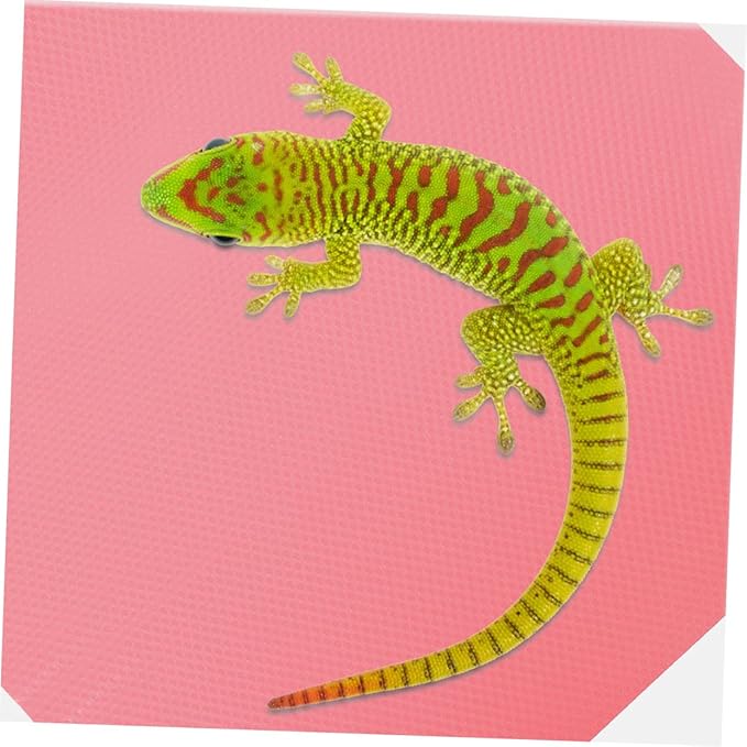 COLLBATH Reptile Carpet Substrate for Terrarium Non Stick Surface for Leopard Gecko Lizard Snake Tortoise Durable and Easy to Clean Reptile Mat