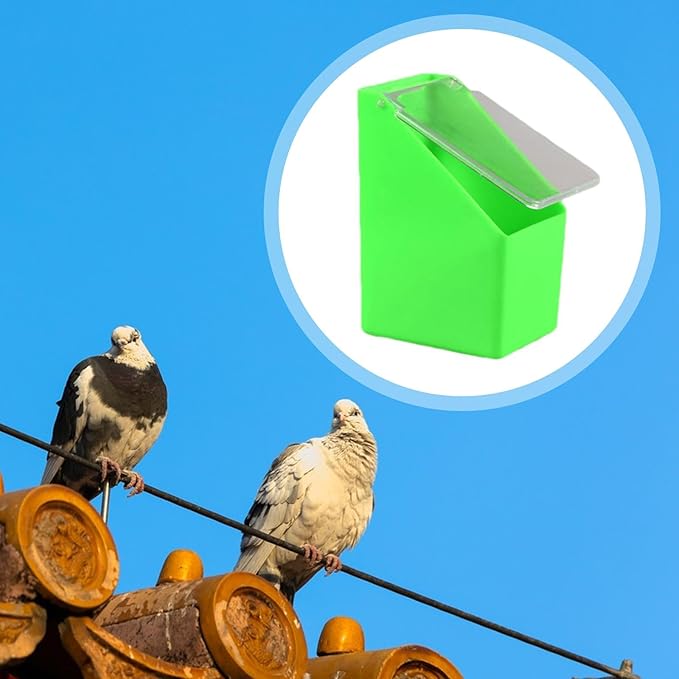 Pigeon Feeder, Food Storage Case, Single Hole Hanging Box, Dove Bird Feeding Case for Parrots Canaries Chickens Pigeons, Green