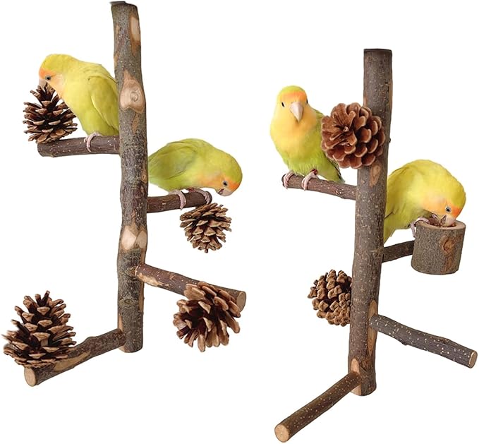 2PCS Parrot Perch Birdcage Accessories Stand Screw Wood Bird Toy Bird Activity Set