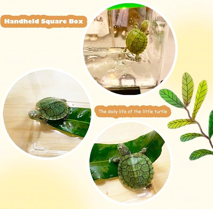 14 Pack Small Plastic Reptile Carrier Breeding Box Hatching Container for Fish Turtle Hermit Crab Spider Snake Bearded Dragon Lizard (4.7 x 4.7 x 3.9 Inch)
