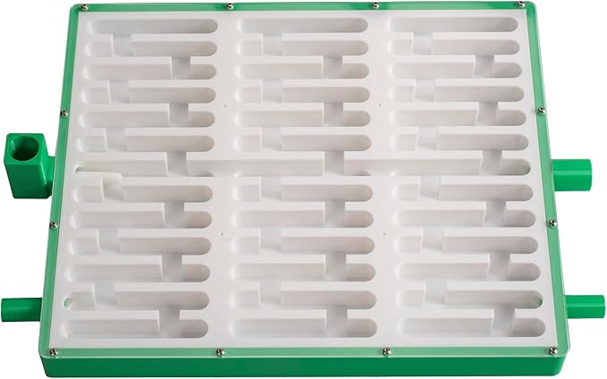 Educational Ant Farm Observation Nest, White and Green, Large Flat Terrarium with 4 Extension Ports, 2 Feeding Areas