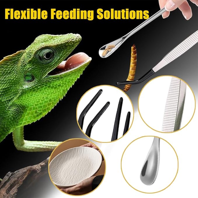 Ouliget Reptile Feeding Tool Set,Reptile Feeding Spoon,Rubber Tip Straight Curved Feeding Tongs Tweezers,Small Reptile Food Plastic Dish Bowl for Geckos Lizards Bearded Dragons
