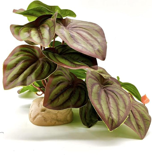 Reptile Plants for Terrarium Decor,Amphibian Habitat Decor,Artificial Plants for Gecko Chameleon Snake Tortoise Tank Accessories with Base (red Watermelon peperomia)