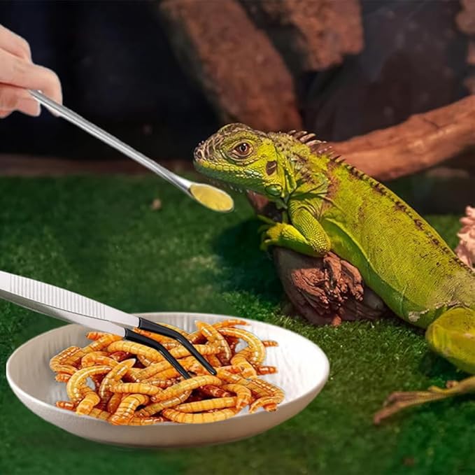 Ouliget Reptile Feeding Tool Set,Reptile Feeding Spoon,Rubber Tip Straight Curved Feeding Tongs Tweezers,Small Reptile Food Plastic Dish Bowl for Geckos Lizards Bearded Dragons