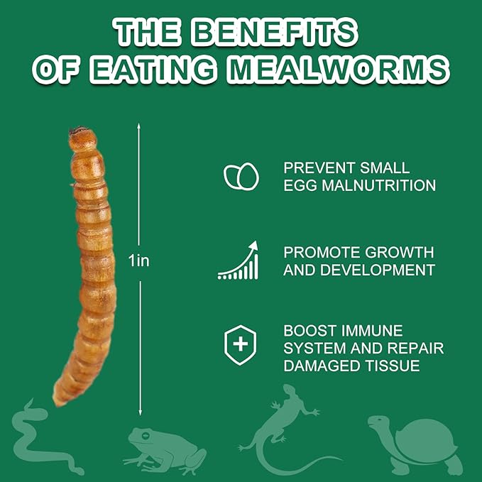 Dried Mealworm for Reptiles - High Protein Reptile Food for Bearded Dragons Turtles, Geckos, Snakes, Frogs Chickens, Birds, Hamsters & Hedgehogs（9oz）
