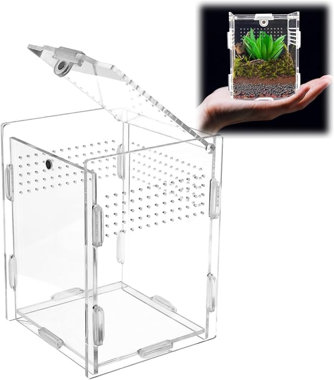 Acrylic Jumping Spider Enclosure with Magnetic Top & Escape-Proof Vents - Small Critter Keeper 4.5x3.3x3.3 Inch for Hermit Crab Frog Tarantula Mantis - Reptile Tank Habitat High Clarity Terrarium