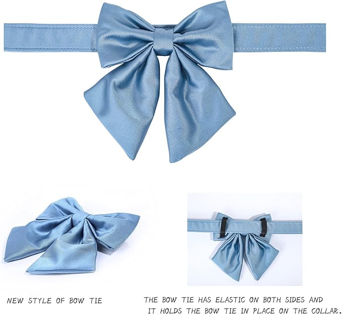 Lionet Paws Bowtie Dog Collar - Comfortable Silk Dog Collar with Detachable Bow Tie for XLarge Dogs, Neck 16-26 Inches