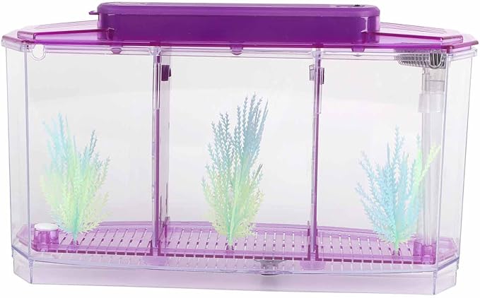 Betta Fish Tank, Adjustable Light Breeding Fish Tank with LED Light,Incubator Mini Fish Tank LED Acrylic Three Divisions Breeding Isolation Box for Small Fishes(Purple)