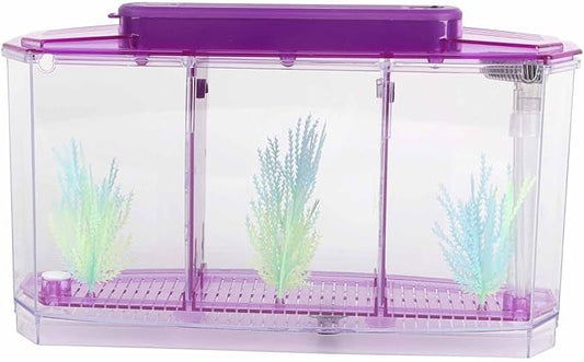 Betta Fish Tank, Adjustable Light Breeding Fish Tank with LED Light,Incubator Mini Fish Tank LED Acrylic Three Divisions Breeding Isolation Box for Small Fishes(Purple)