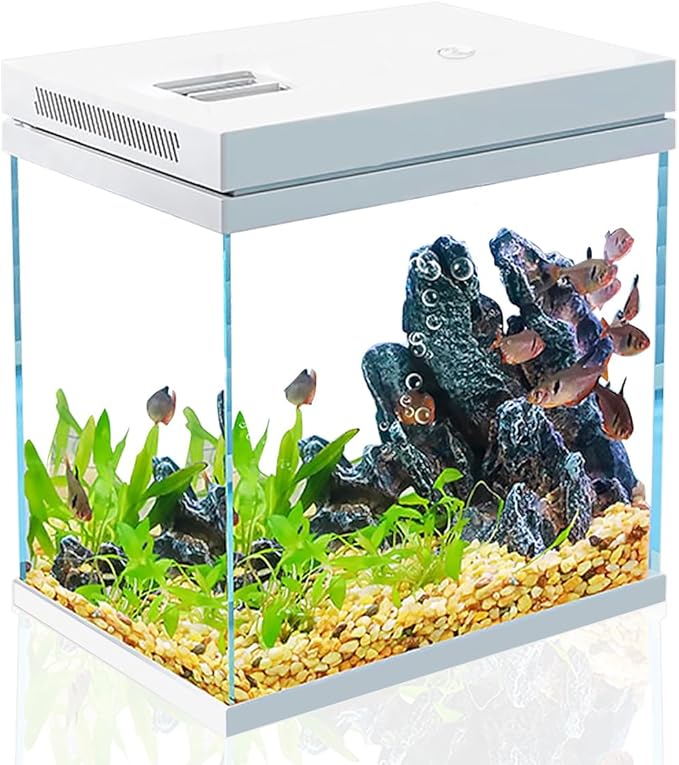 Fish Tank, 4 Gallon Nano-Aquarium, Upgrade Filter System and LED Light, for Freshwater & Marine, Filter Balls Included (4 Gal)
