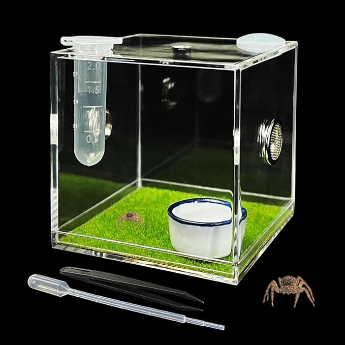GKPONSX Acrylic Jumping Spider Enclosure, Spider Terrarium Accessories with Bowls Tongs Dropper for Snail Tarantula Scorpion Praying Mantis Isopods Insects