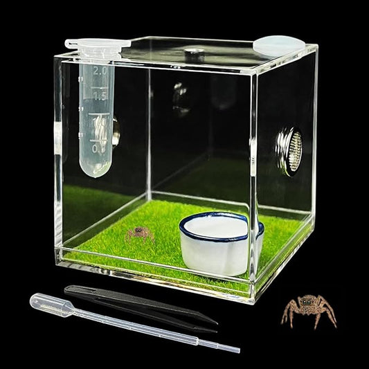GKPONSX Acrylic Jumping Spider Enclosure, Spider Terrarium Accessories with Bowls Tongs Dropper for Snail Tarantula Scorpion Praying Mantis Isopods Insects