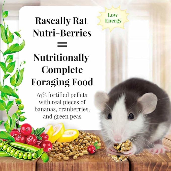 LAFEBER'S Rascally Rat Nutri-Berries, Made with Non-GMO and Human-Grade Ingredients, for Rats (10 oz Pack of 2)