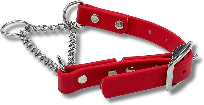 Martingale Collar for Dogs, Biothane, Stainless Steel Hardware, No Pull, Made in The USA, Professional Grade, XXS, Red