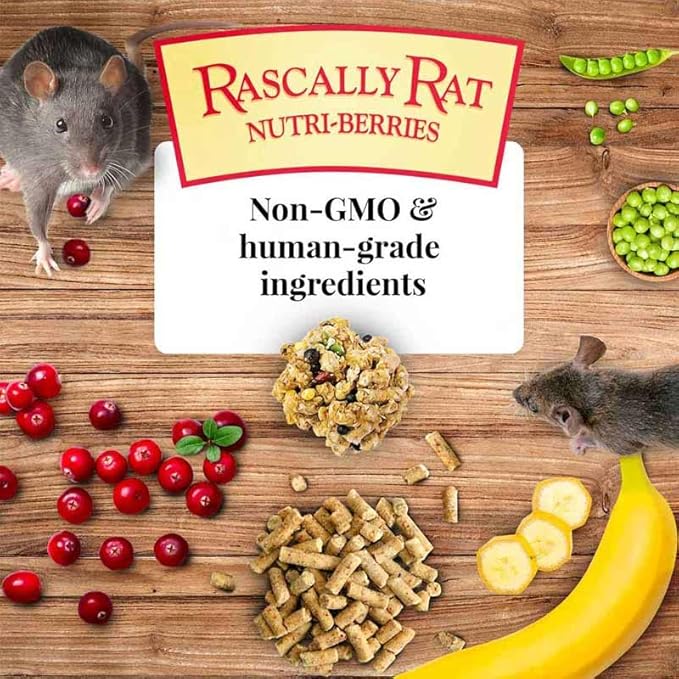 LAFEBER'S Rascally Rat Nutri-Berries, Made with Non-GMO and Human-Grade Ingredients, for Rats (10 oz Pack of 2)