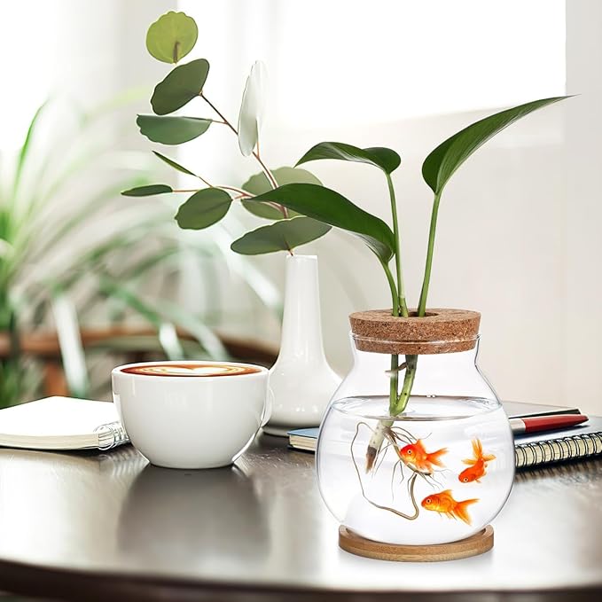POPETPOP Desktop Glass Fish Bowl - Round Small Fish Tank with Wood Stopper & Bamboo Mat, Clear Glass Betta Fish Bowl for Succulent Plants, Hydroponic Air Plant (5.1X5.5 in)