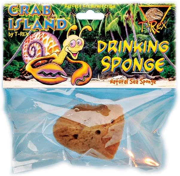 T-Rex Hermit Crab Accesory - Drinking Sponge