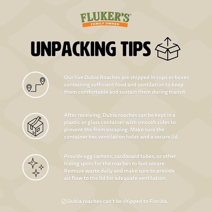 Fluker's Live Dubia Roaches, Premium Feeder Insects for Reptiles, Amphibians, and Arachnids (100 Count Large)
