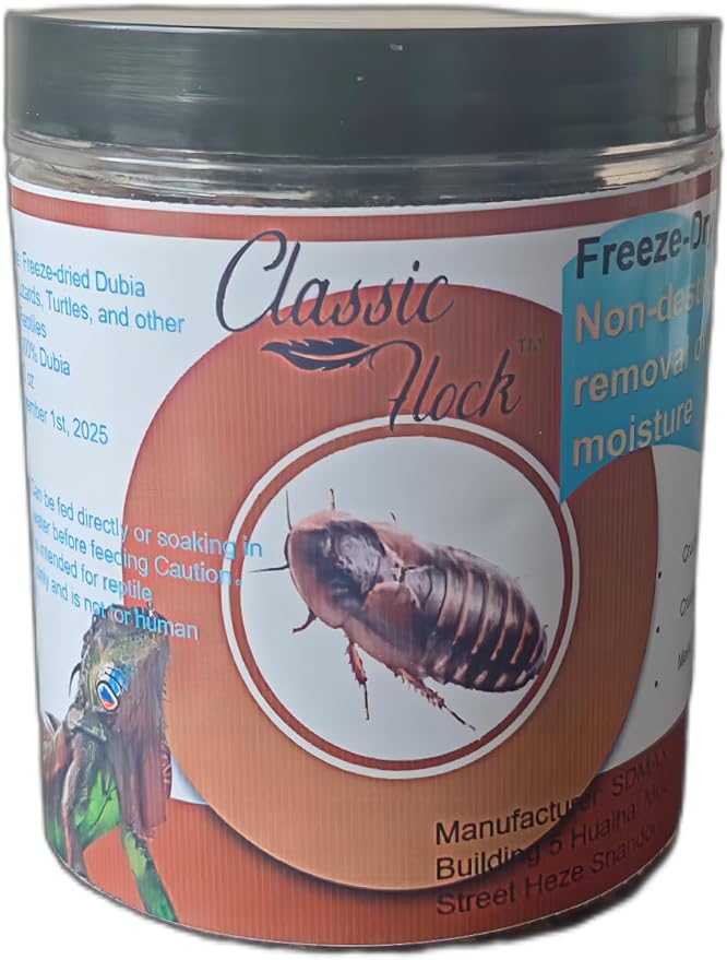Classic Flock 2oz Freeze-Dried Dubia - High Protein Reptile & Amphibian Food