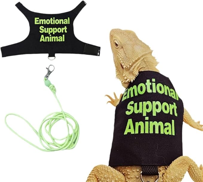 3 Sets - Bearded Dragon Lizards Clothes with Leash Set for Small Pets Reptiles Guinea Pig Apparel Lizards Outdoor Walking Training Harness Leash Hand-Made Costume Photo Prop