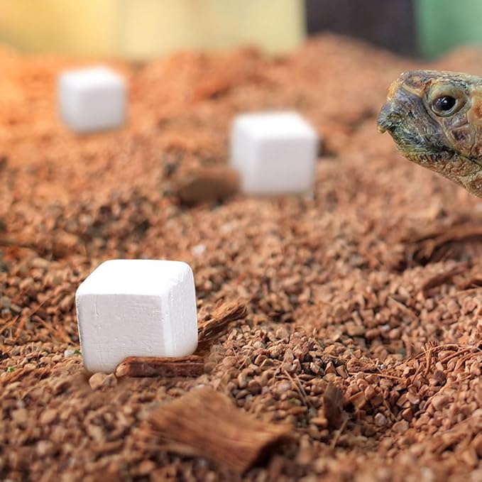 SEWACC 30pcs Reptile Mineral Calcium Block for Turtle Tortoise Lizard and Frog, Natural Mineral with Trace Elements for Amphibian Health and Shell Growth
