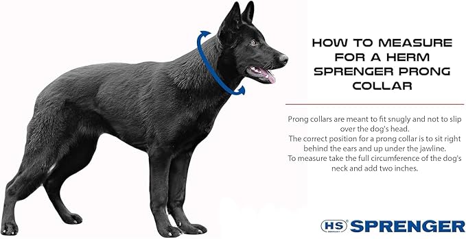 Herm Sprenger Chrome Plated Steel Training Prong Collar with Quick Release Snap for Dogs (23in (58cm) x 3.2mm)