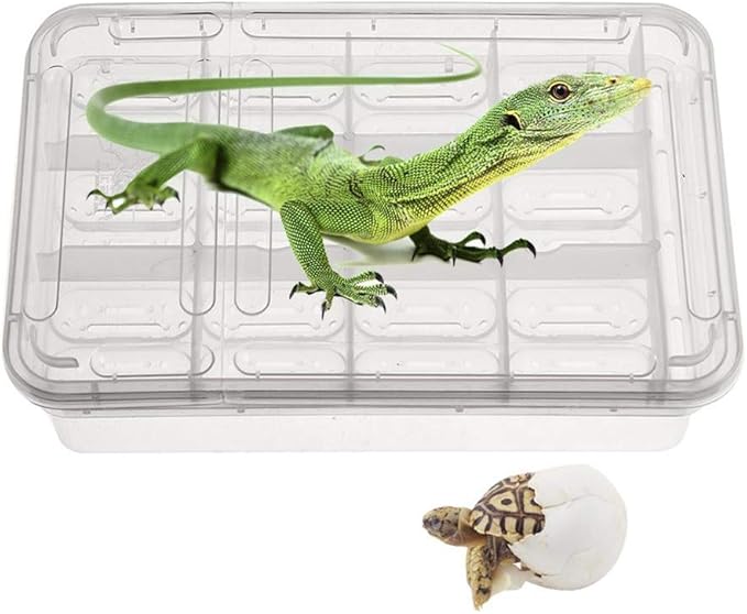 POPETPOP Compartment Transparent Breeding Box for Reptiles Snakes Turtles and Lizards Easy to Clean Incubator for and Animal Observation