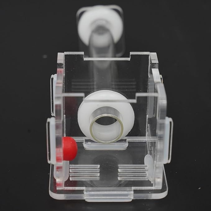 2x2x2 Inch 15mm Acrylic Transparent Ant Nest - Mini Ant Farm, Small Colony Observation