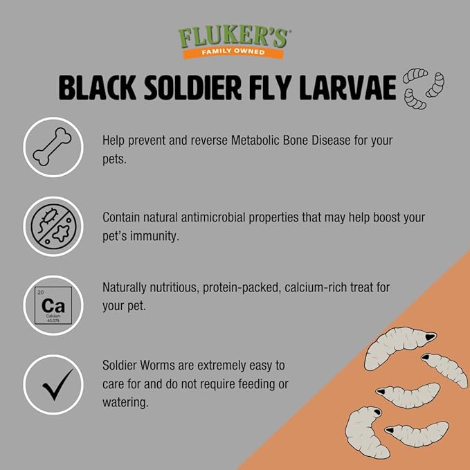 Fluker's Medium Live Black Soldier Fly Larvae 1000 Count - Reptile and Chicken Food