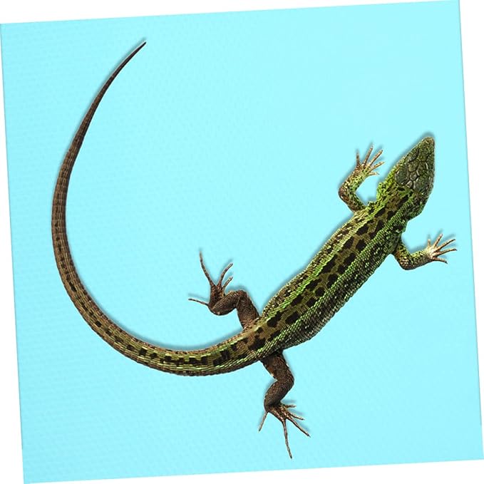 Milisten Reptile Carpet Reptile Mat Lizard Terrarium Bedding Accessories for Bearded Dragon and Tortoise