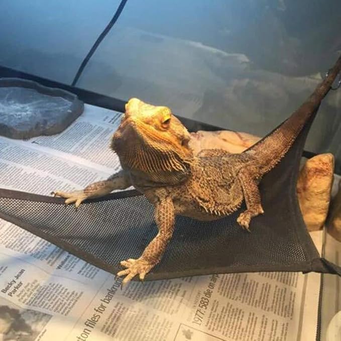 gofidin 2PCS Bearded Dragon Lizard Hammock Reptile Hammock Lounger Ladder Accessories for Bearded Dragons Geckos Lizards Reptile
