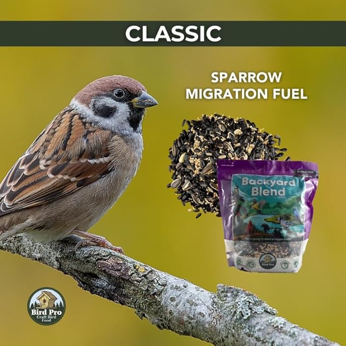 Classic Bird Seed (40 Pounds, Backyard Blend)