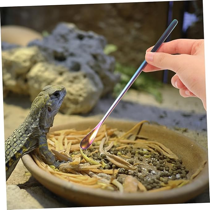 Kisangel 3pcs Small Lizard Food Spoon for Pet Feed Water Scoop Mixing Stirring Function Pet Supply