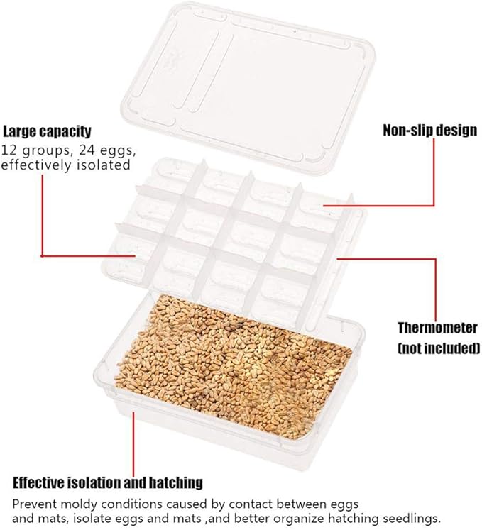 POPETPOP Compartment Transparent Breeding Box for Reptiles Snakes Turtles and Lizards Easy to Clean Incubator for and Animal Observation