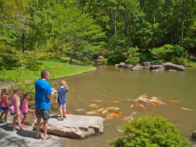 America's Best Koi Food Large Floating Pond Pellets 20 lbs Koi Fish Food 32% Premium Protein Year Round Maintenance Diet