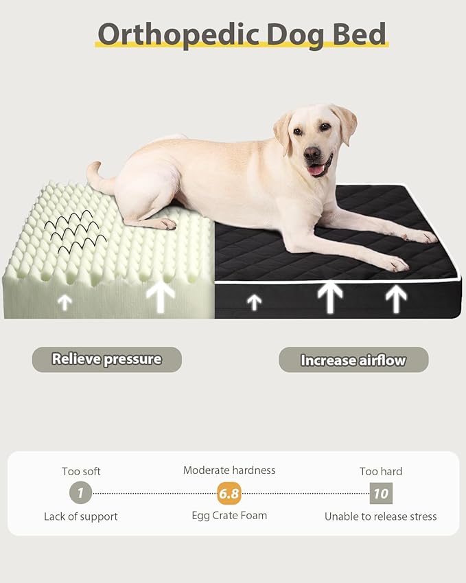 NUPIDA Orthopedic XL Dog Beds Large Sized Dog Waterproof Pet Kennel Pad with Removable Washable Cover and Non-Slip Bottom, 41x27 Inch, Black