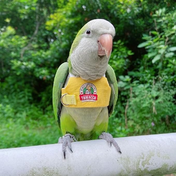 PARREN Bird Flight Harness Vest, Parrot Flight Suit with Leash for Parakeets, Bird Flying Clothes with Rope and Handle for Outdoor Activities Training, Anti Bite (5XL), Yellow