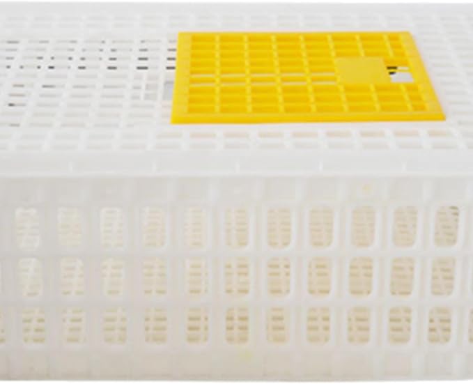 Poultry Crate for Transporting Birds, and Hamsters, White