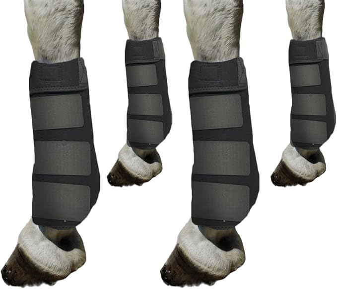 Generic 4Pcs Horse Boots Leg Protectors Adjustable Comfortable Neoprene Reusable Breathable Horse Protectors Equipment Set, Black, L