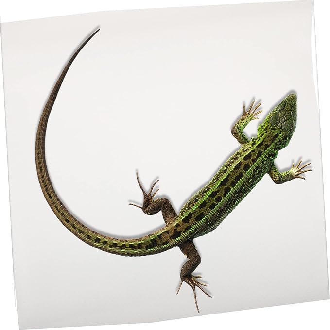 HANABASS Reptile Carpet for Terrarium Multi-Purpose Substrate Pad for Bearded Dragons Snakes Lizards and Tortoises Easy to Clean