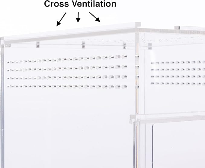 EctoTherm Jumping Spider Enclosure - for Habitat, Terrarium Kit and Arboreal Tarantula Enclosure