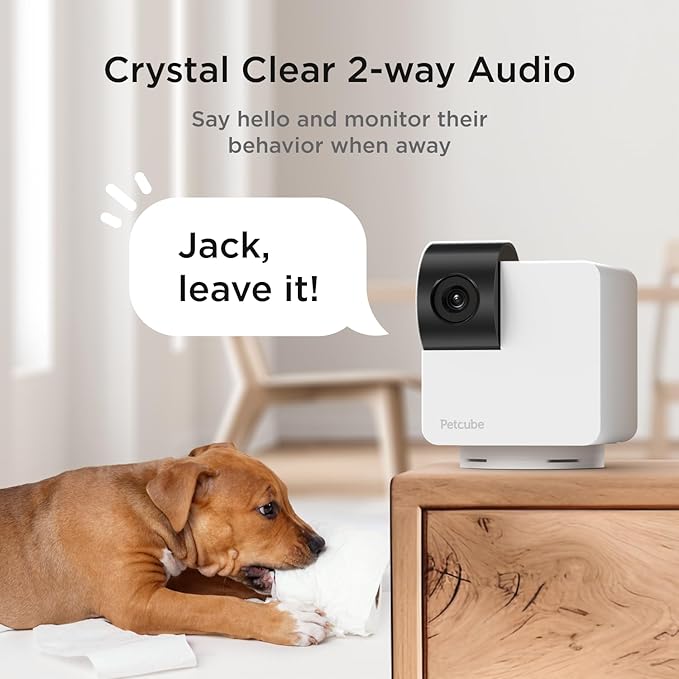 Petcube Cam 3 Pack and Cam 360 Bundle | 1080p HD Video, Night Vision, Two-Way Audio, Sound and Motion Alerts, Cat and Dog Monitor