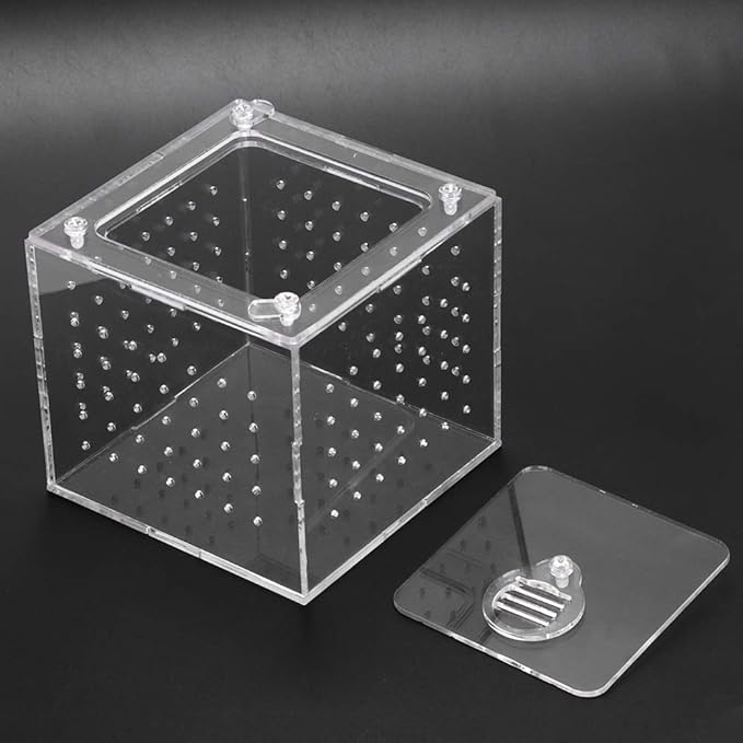 Reptile Breeding Tools, Reptile Hatching Supplies, Lizard Breeding Acrylic Box Case Insects House 1Pc Reptile Terrarium Feeder Snakes Spider