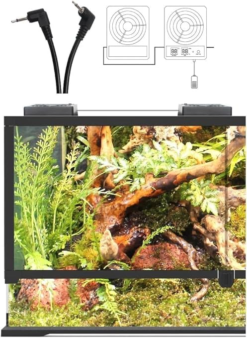 Digital Display Intelligent Control Ventilation Fan Reptile Rainforest Tank Thermometer and Hygrometer